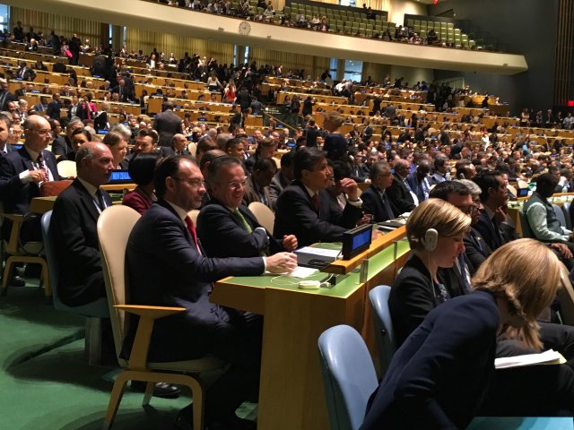 whatsapp image 2017-10-02 at 11.29.44 am 1